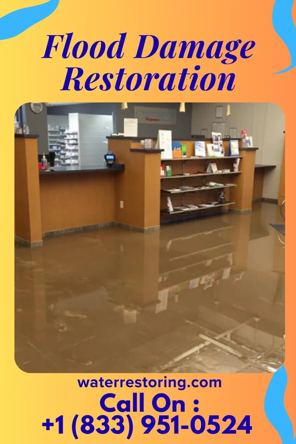Flood Damage Restoration in Flat Rock, MI