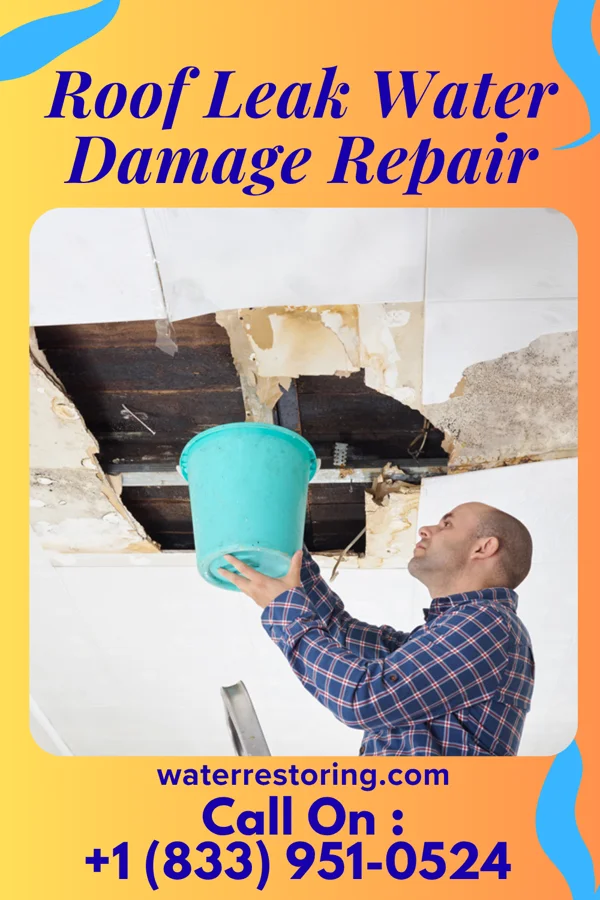 Roof Leak Water Damage Repair in Flat Rock, MI