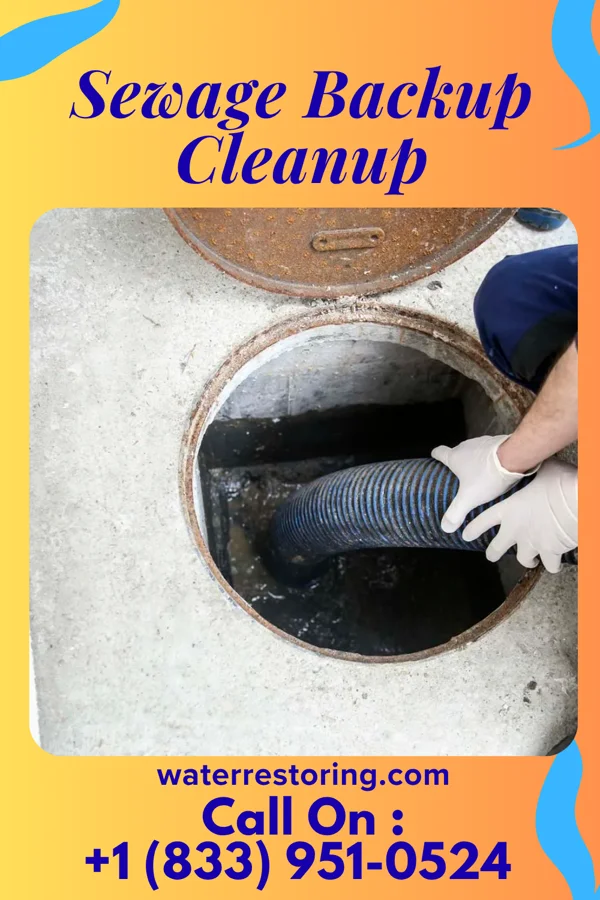 Sewage Backup Cleanup in Flat Rock, MI
