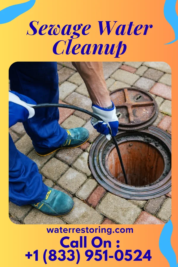 Sewage Water Cleanup in Flat Rock, MI